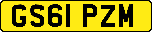 GS61PZM