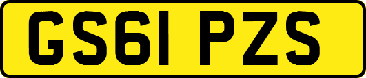 GS61PZS