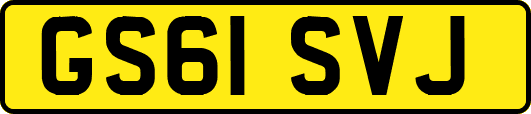 GS61SVJ