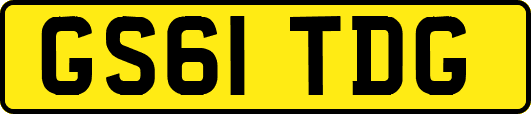 GS61TDG