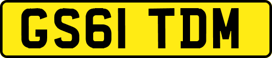 GS61TDM