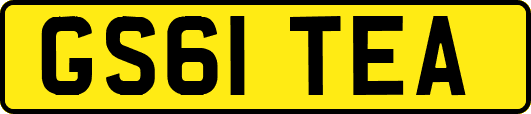 GS61TEA