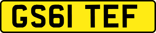 GS61TEF