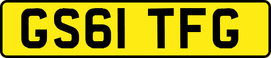 GS61TFG