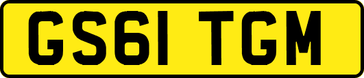 GS61TGM