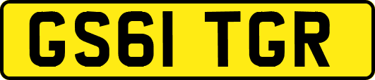 GS61TGR