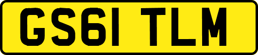 GS61TLM