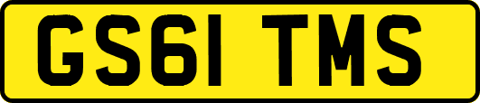 GS61TMS
