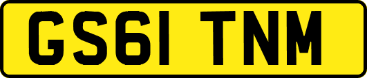 GS61TNM