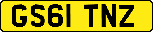 GS61TNZ