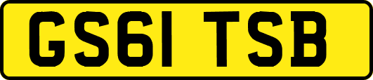 GS61TSB