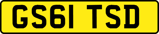 GS61TSD