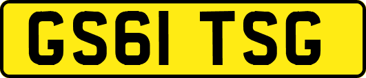 GS61TSG