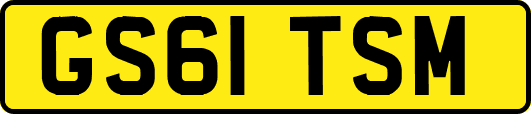 GS61TSM