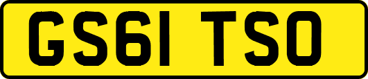 GS61TSO