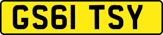 GS61TSY