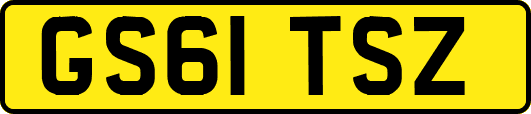 GS61TSZ
