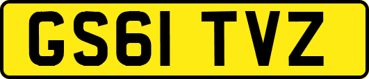 GS61TVZ