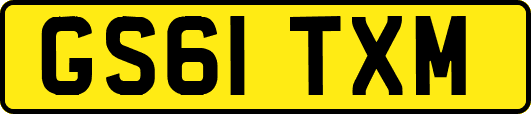 GS61TXM