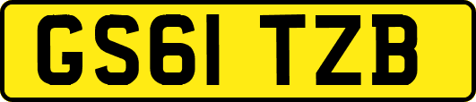 GS61TZB