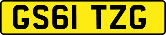 GS61TZG