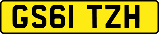GS61TZH