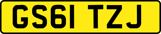 GS61TZJ