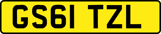 GS61TZL