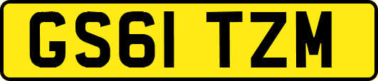 GS61TZM