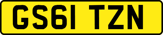GS61TZN