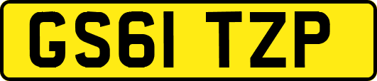 GS61TZP