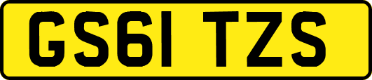 GS61TZS