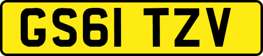 GS61TZV