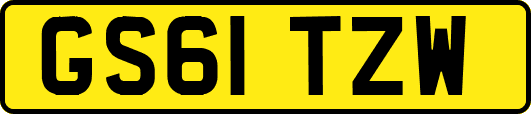 GS61TZW