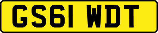 GS61WDT