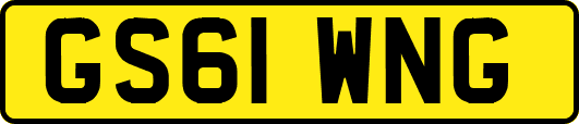 GS61WNG