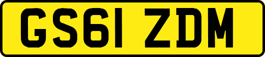 GS61ZDM