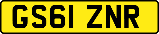 GS61ZNR