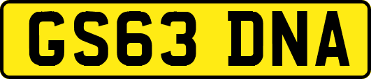 GS63DNA