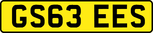 GS63EES