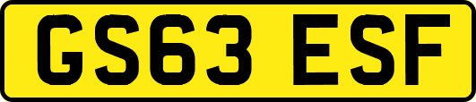 GS63ESF