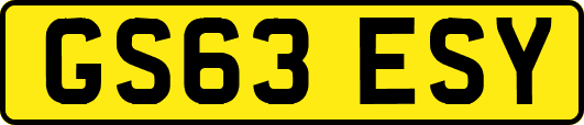 GS63ESY
