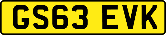 GS63EVK