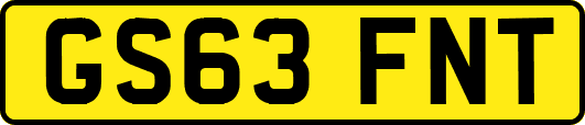 GS63FNT