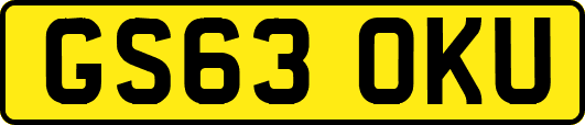 GS63OKU
