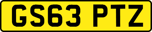 GS63PTZ