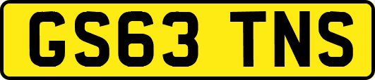 GS63TNS