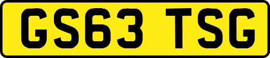 GS63TSG