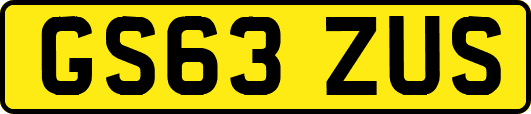 GS63ZUS