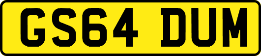 GS64DUM